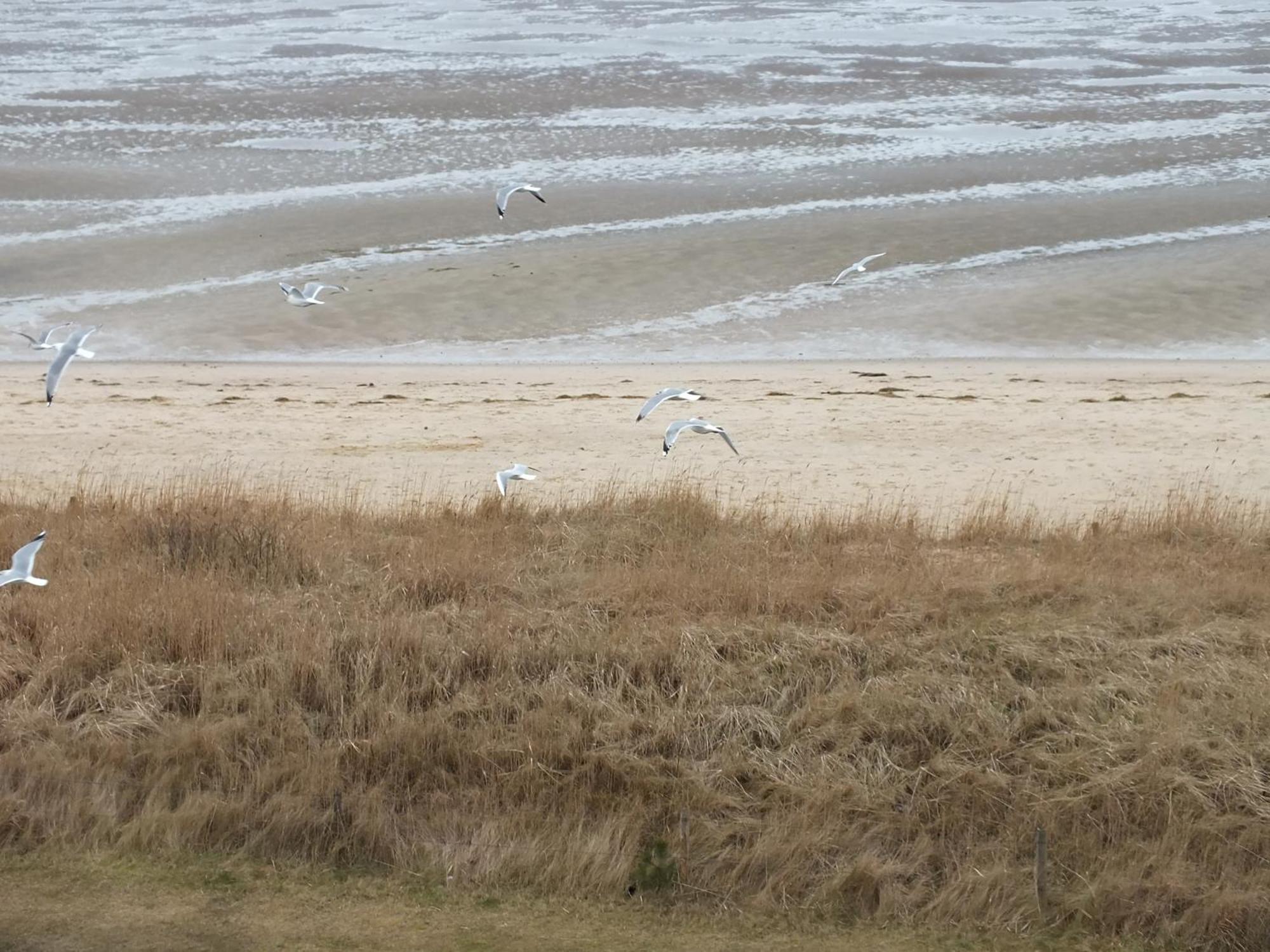 Watten-Blick 1 Cuxhaven Esterno foto